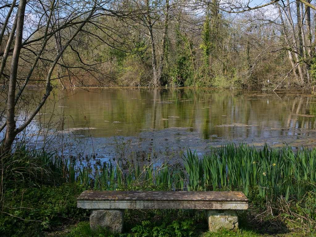 Norton Park Hotel, Spa & Manor House - Winchester Sutton Scotney Esterno foto