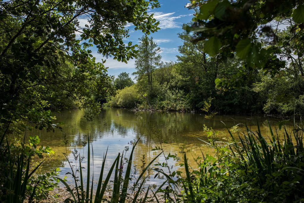 Norton Park Hotel, Spa & Manor House - Winchester Sutton Scotney Esterno foto
